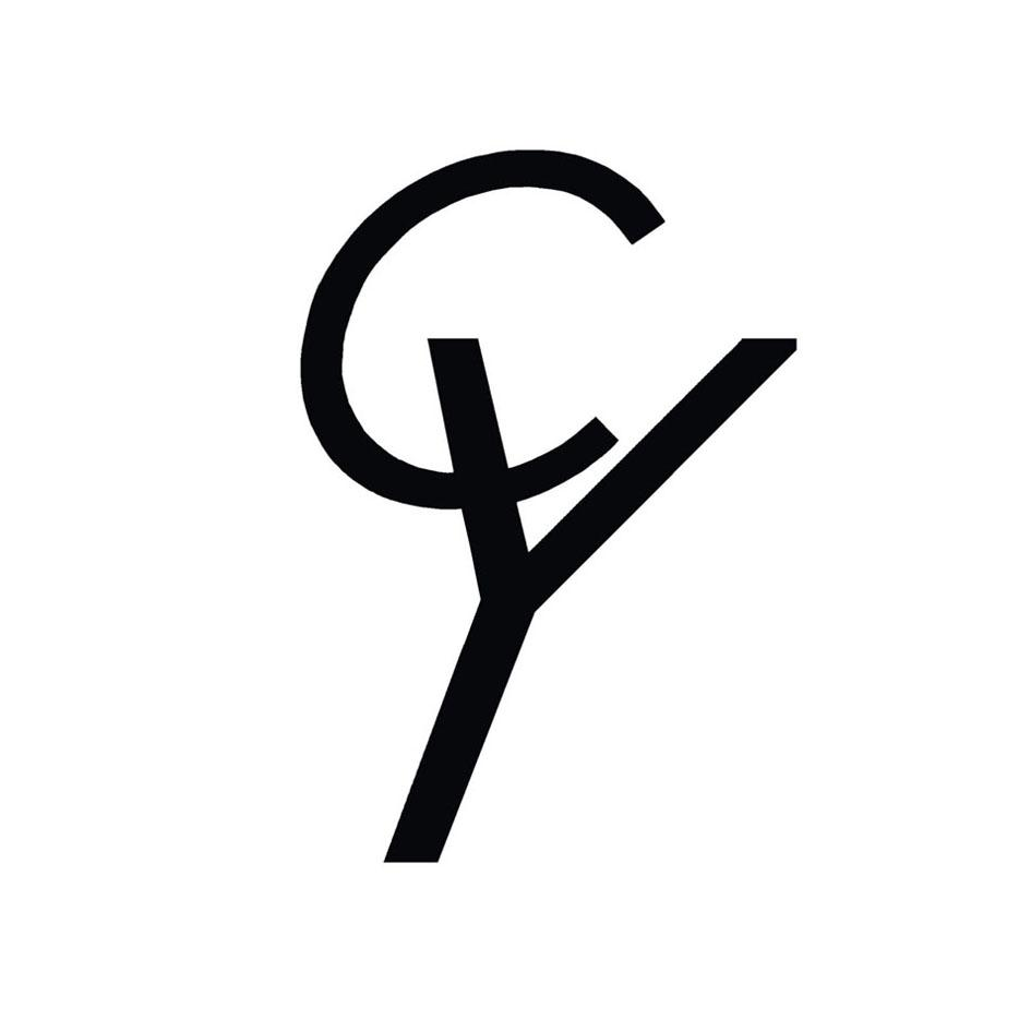 商标文字cy商标注册号 49021713,商标申请人晨风集团股