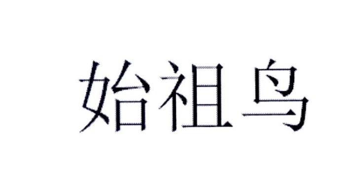 始祖鸟商标标样