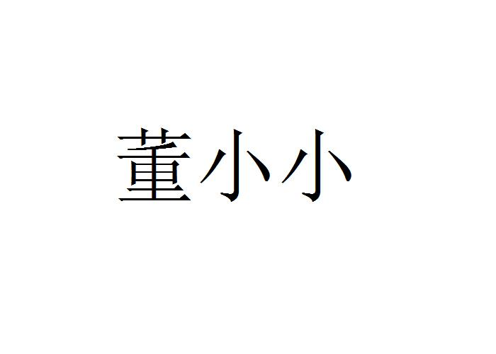 商标文字董小小商标注册号 53565976,商标申请人深圳豹亮科技有限公司