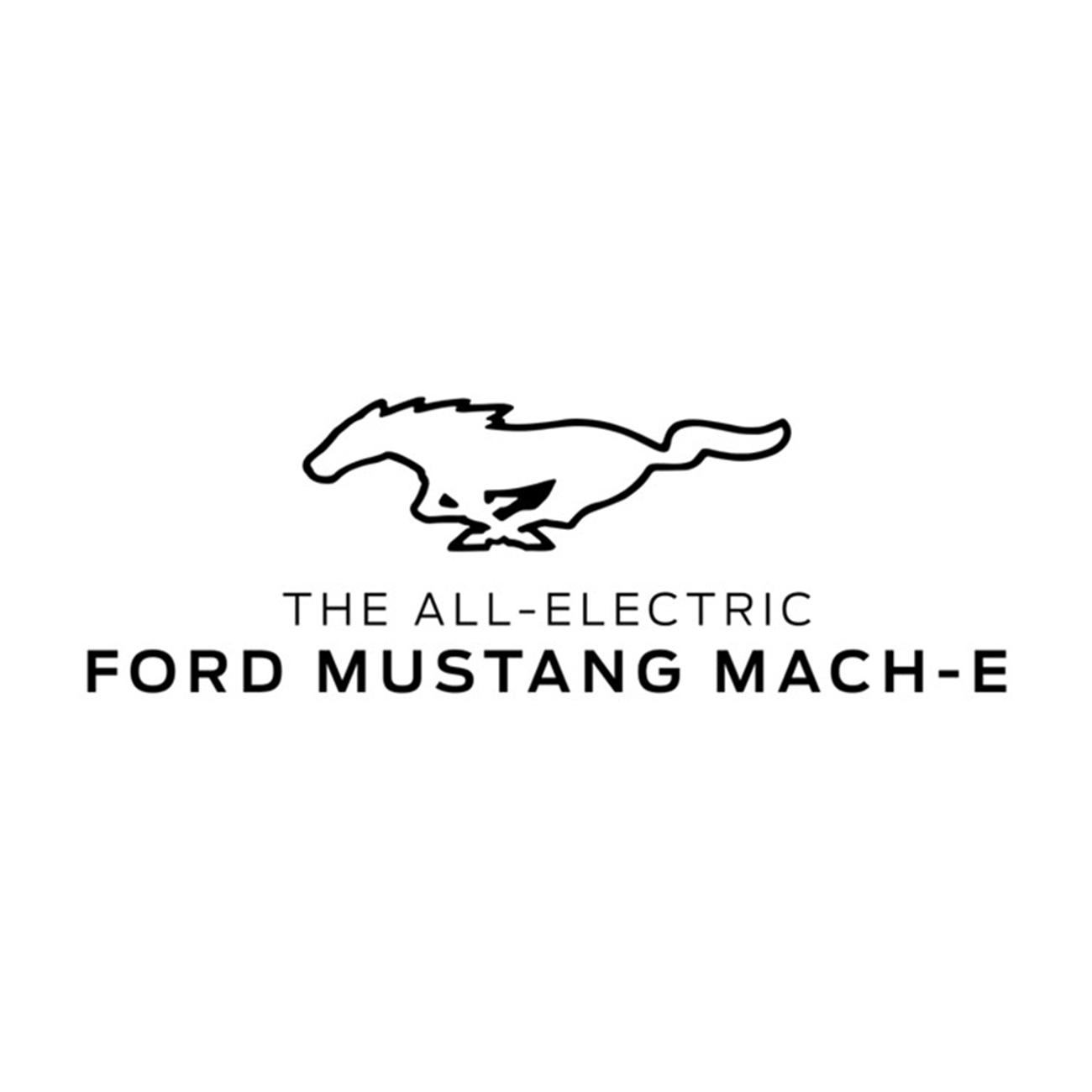 商标文字the all-electric ford mustang mach-e,商标申请人福特汽车