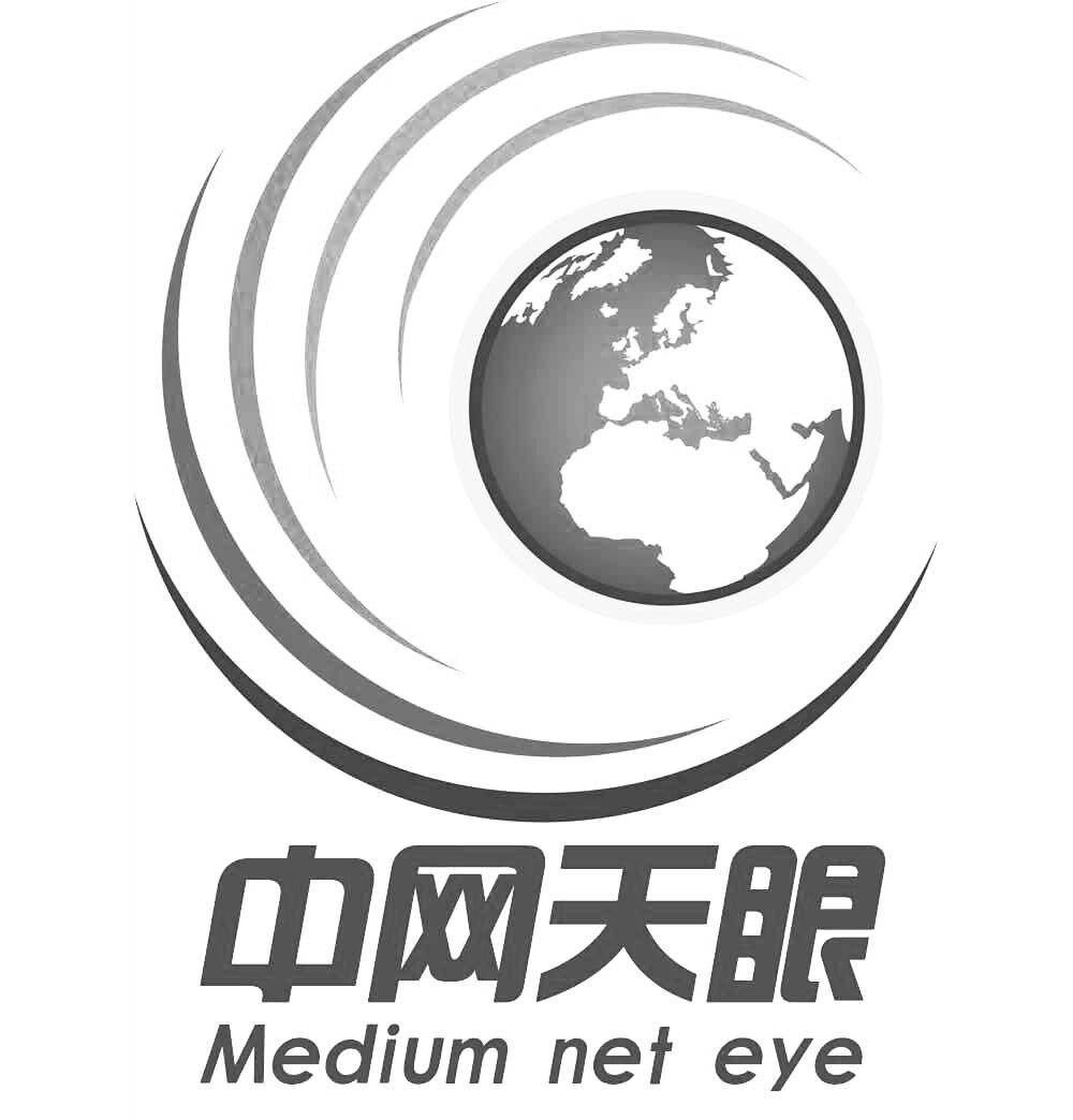商标文字中网天眼  medium net eye商标注册号 37926815,商标申请人