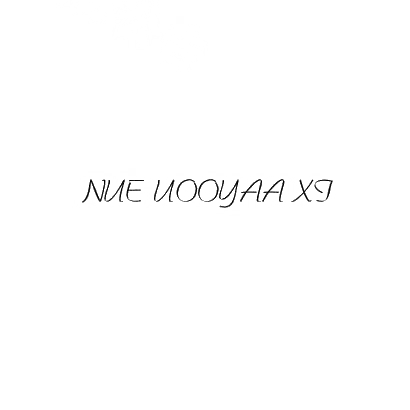 转让商标-NUE UOOYAA XI