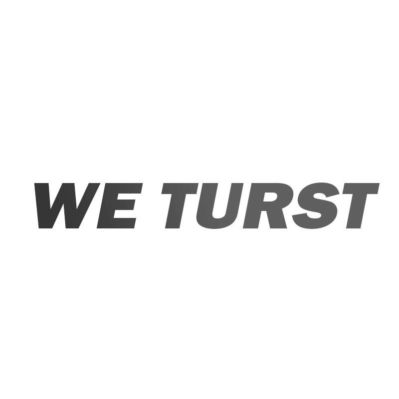 转让商标-WE TURST