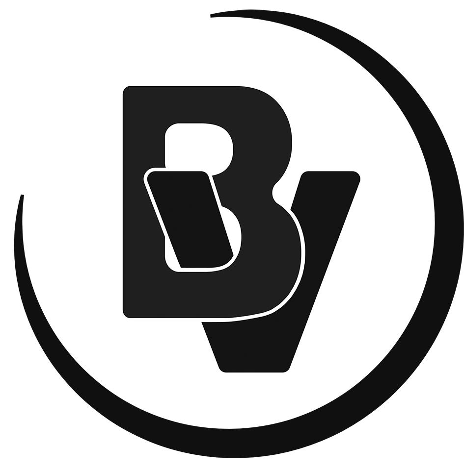 商标文字bv商标注册号 49365489,商标申请人北京百灵威科技有限公司的