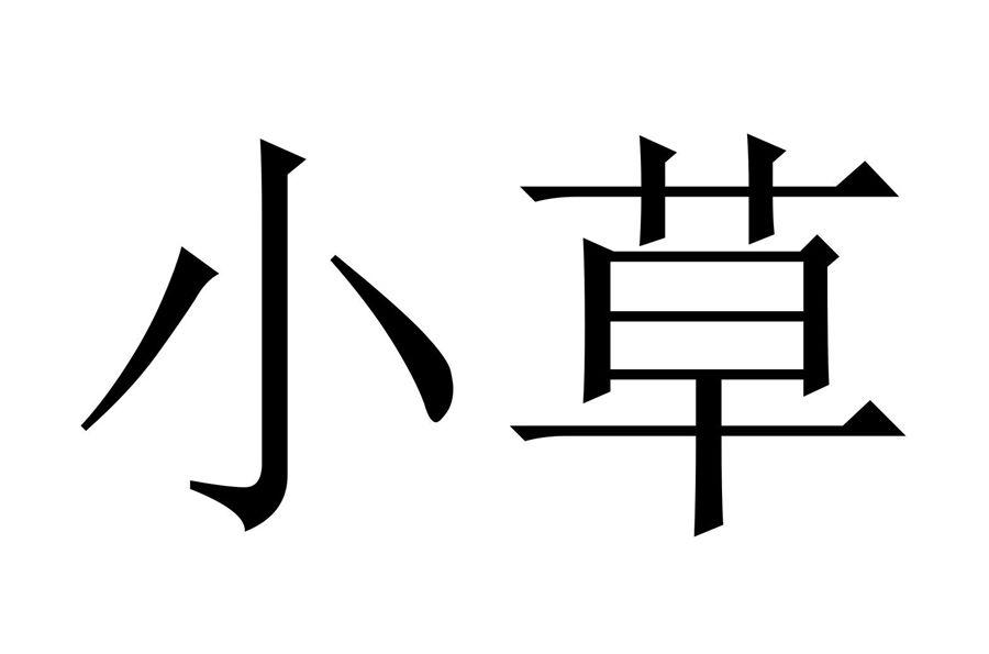 商标文字小草商标注册号 55573075,商标申请人赣州小草企业服务有限