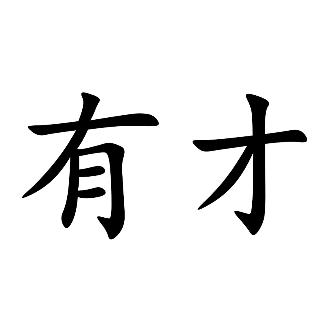 商标文字有才商标注册号 49330022,商标申请人南京伍贰捌商贸有限公司