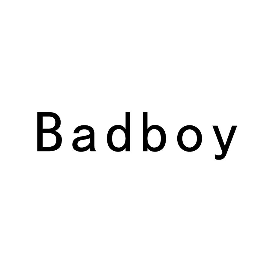 商标文字badboy商标注册号 48497888,商标申请人中山市