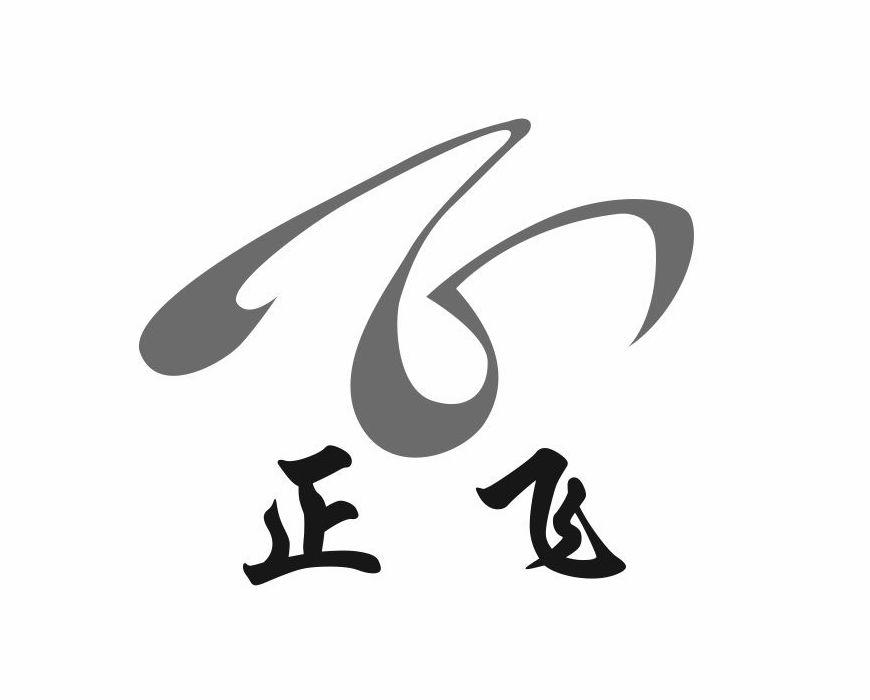 金华制造的脚步：正飞有限公司如何助力产业前行
