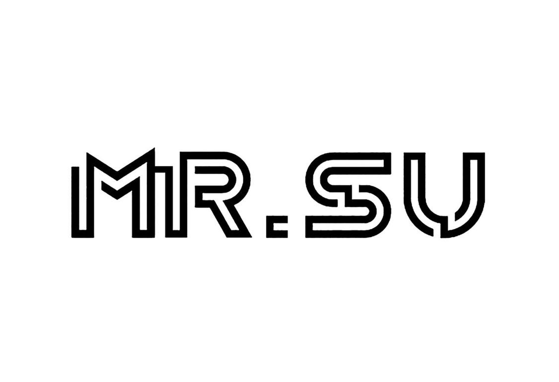 商标文字mr.