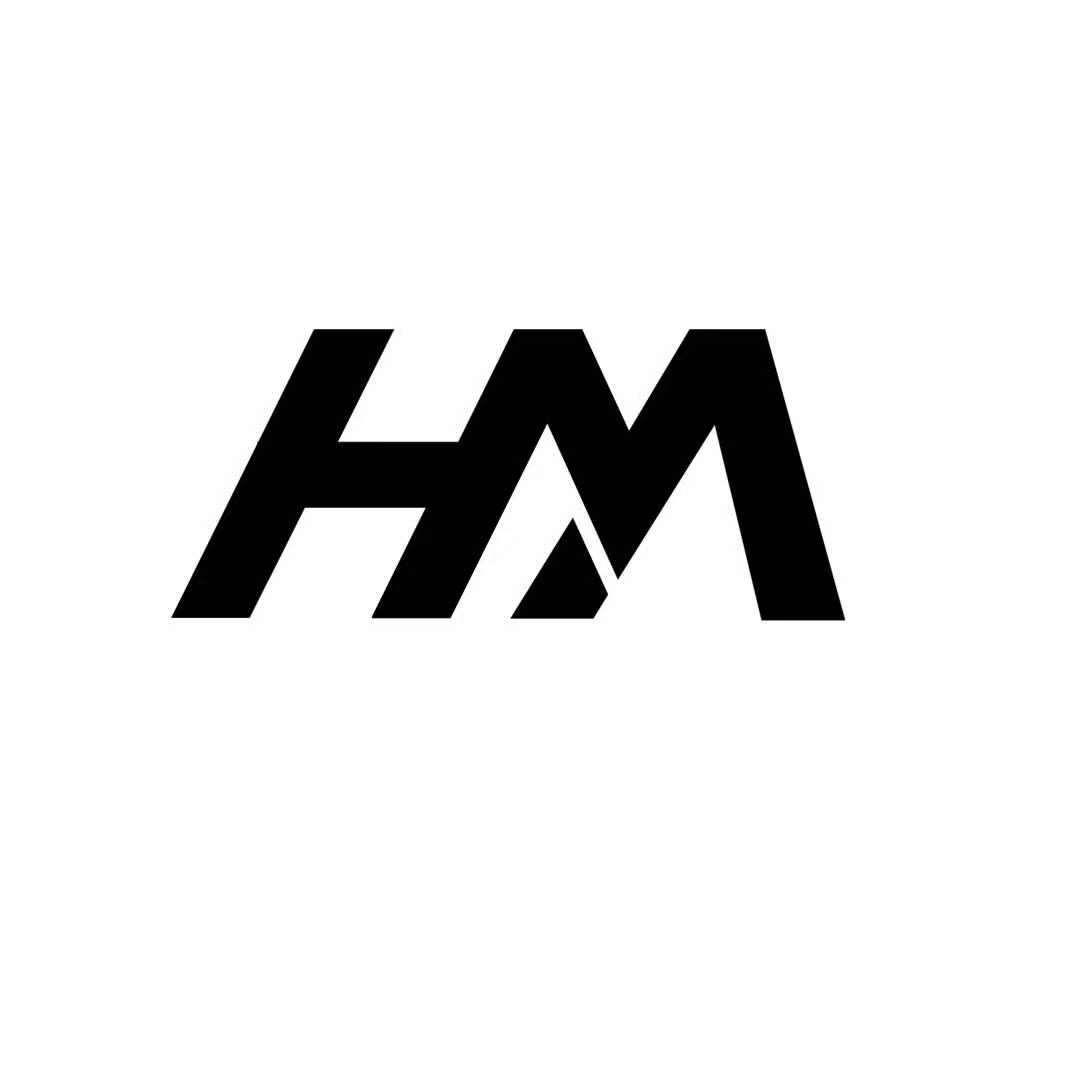 商标文字hm商标注册号 55247515,商标申请人梁永兆的商标详情 标库