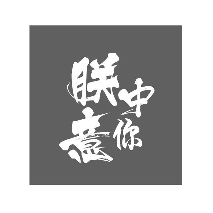 商标文字朕中意你商标注册号 47800997,商标申请人赵一远的商标详情