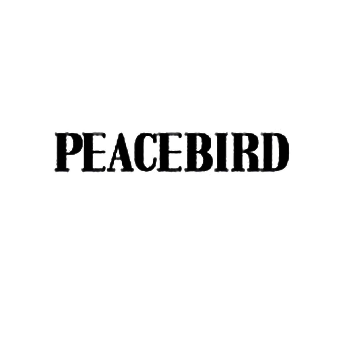 商标文字peacebird商标注册号 11965502,商标申请人太平鸟集团有限