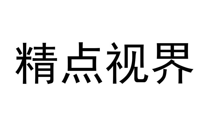 转让商标-精点视界