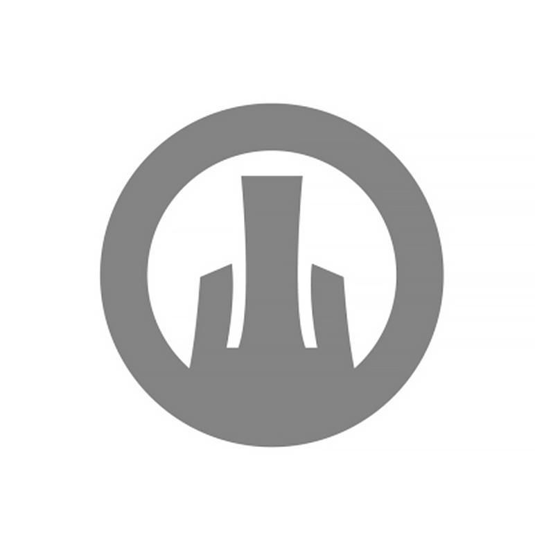 商标文字图形,商标申请人深圳市这有山实业有限公司的