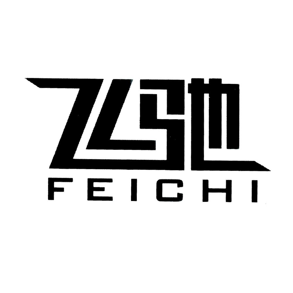 商标文字飞驰商标注册号 37777939,商标申请人佛山市飞驰汽车科技有限