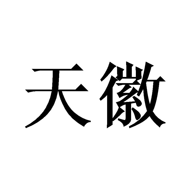 商标文字天徽商标注册号 49249540,商标申请人安徽速尔电子有限公司的