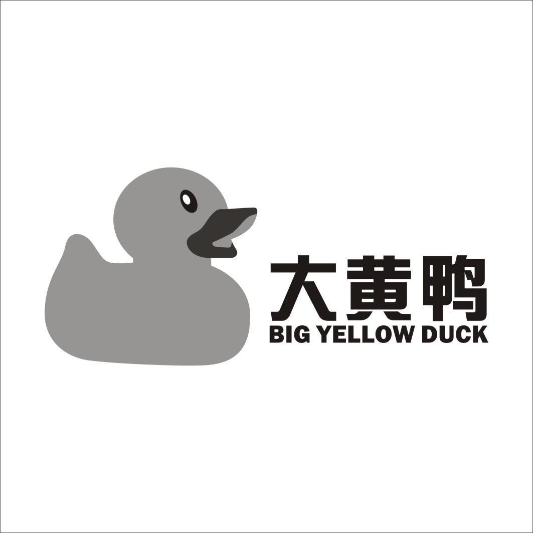 yellowduck黄鸭图片