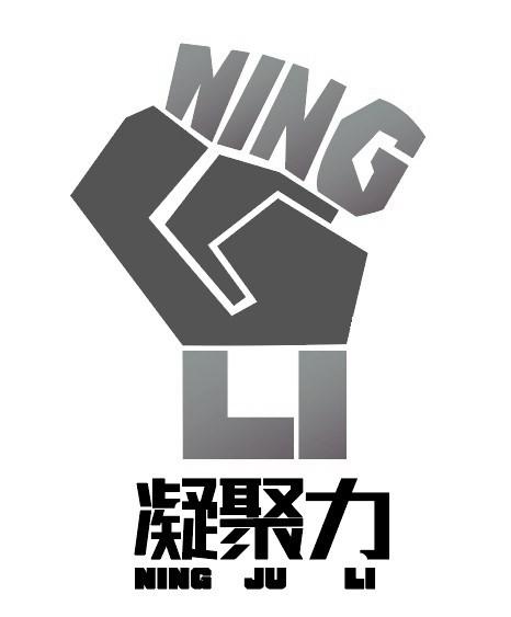 商标文字凝聚力商标注册号 49025397,商标申请人宁津凝聚力健身器材