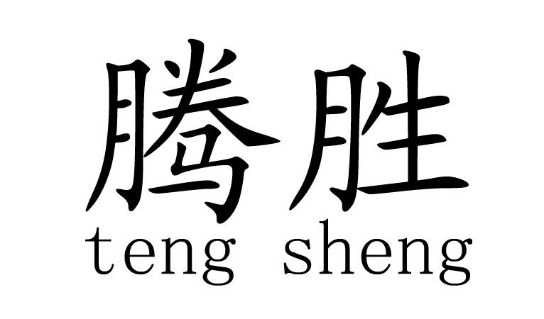 商标文字腾胜商标注册号 41979607,商标申请人安阳腾胜新材料科技有限