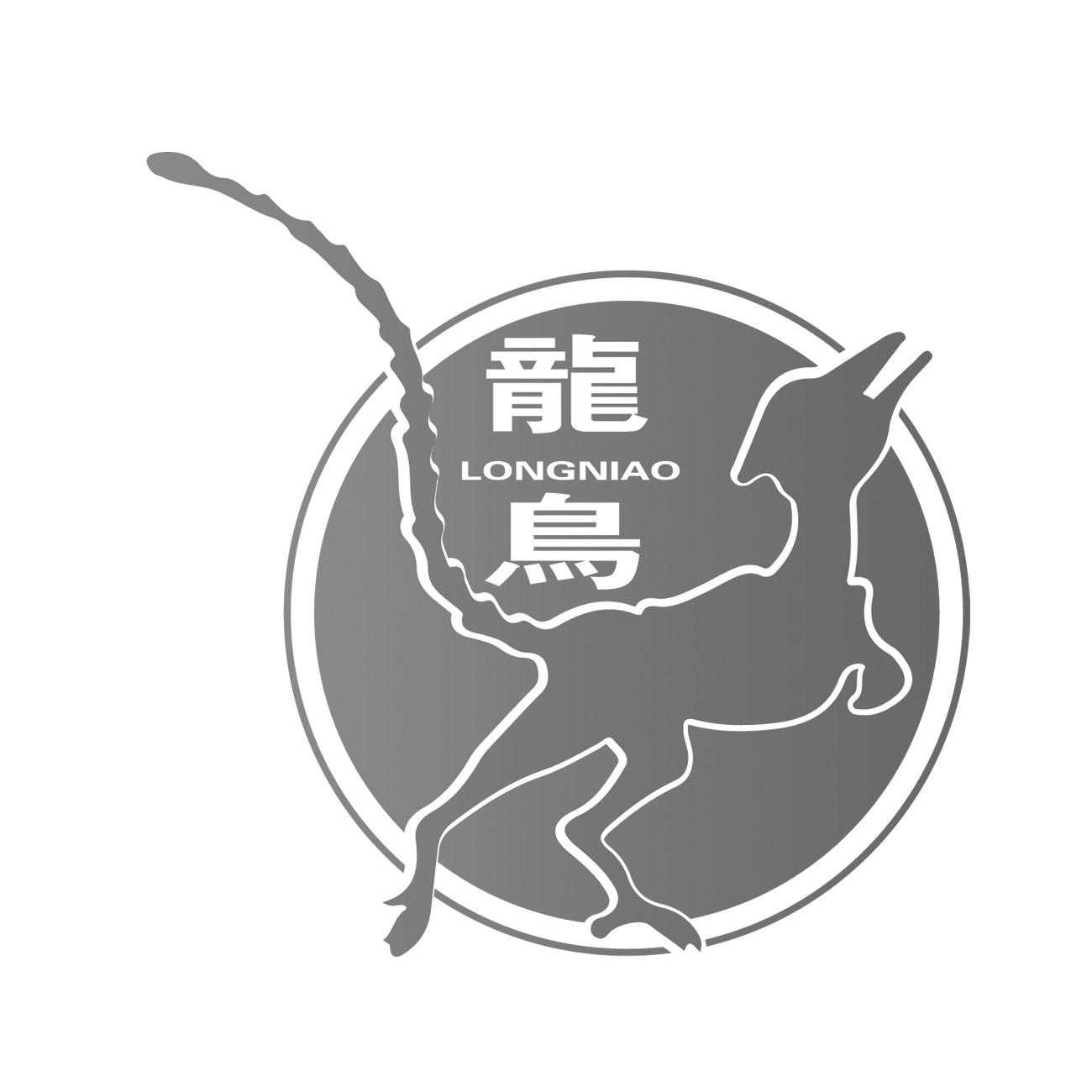 商标文字龙鸟商标注册号 59750790,商标申请人尹红磊的商标详情 - 标