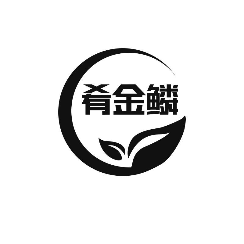 转让商标-肴金鳞