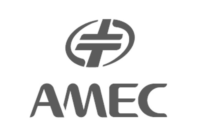 商标文字amec商标注册号 54922318,商标申请人中微半导体设备(上海)