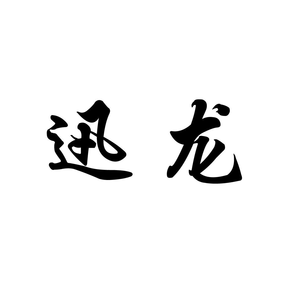 商标文字迅龙商标注册号 20061152,商标申请人寿光市宝龙防水材料有限