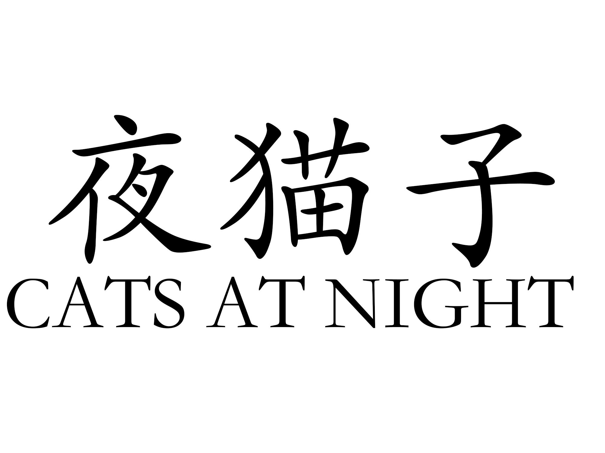 夜猫子catsatnight