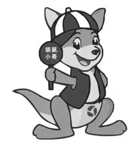 转让商标-袋鼠小哥