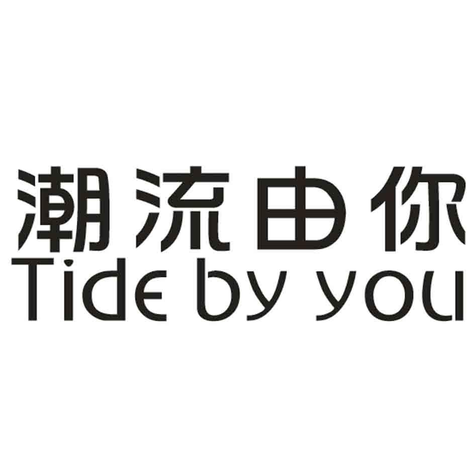 转让商标-潮流由你 TIDE DY YOU