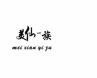 转让商标-美仙一族