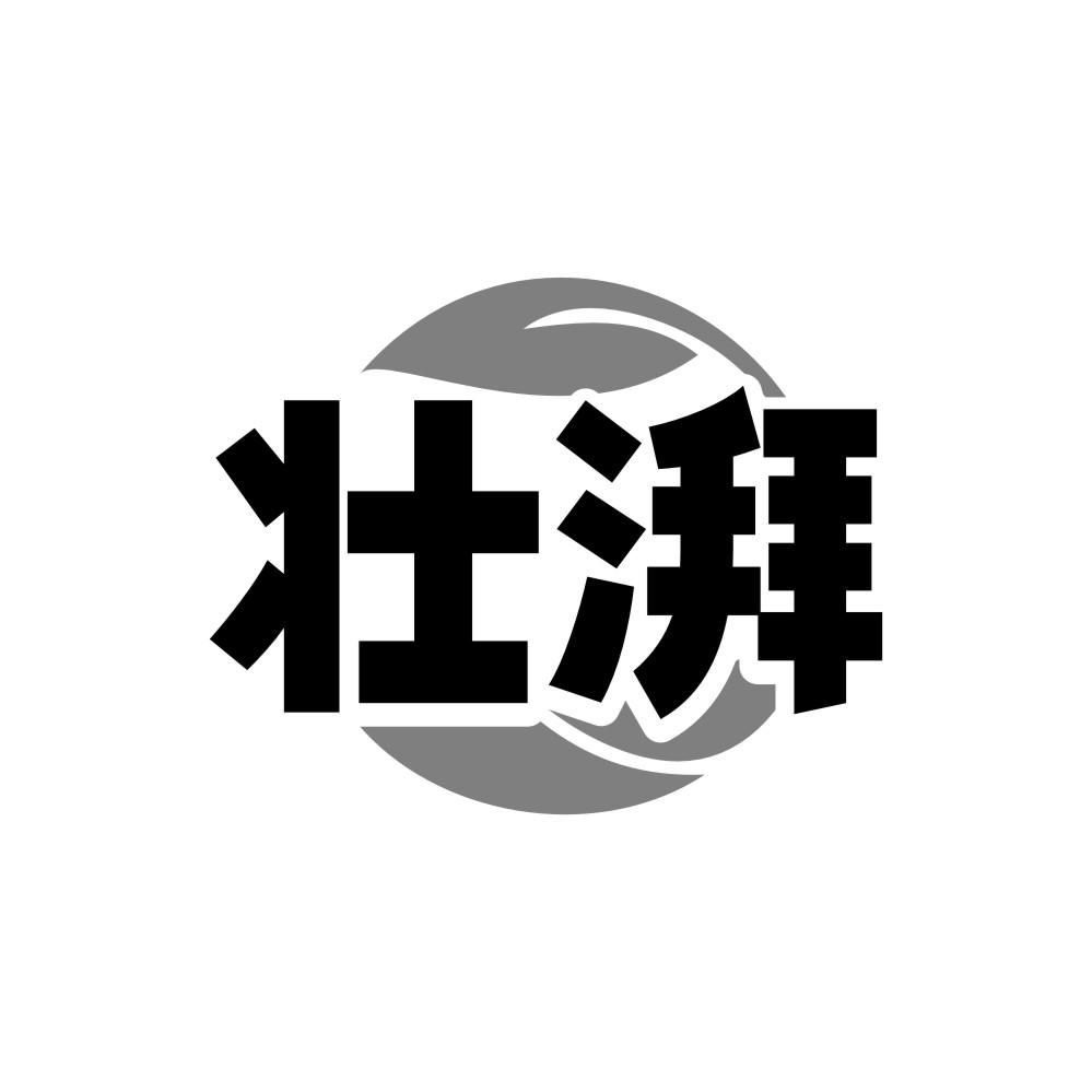 转让商标-壮湃