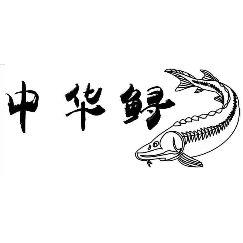 商标文字中华鲟商标注册号 18009004,商标申请人威海虹日渔具有限公司