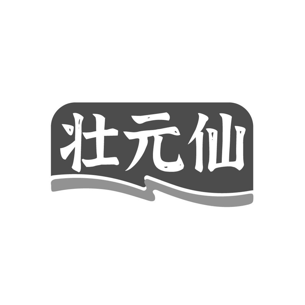 转让商标-壮元仙