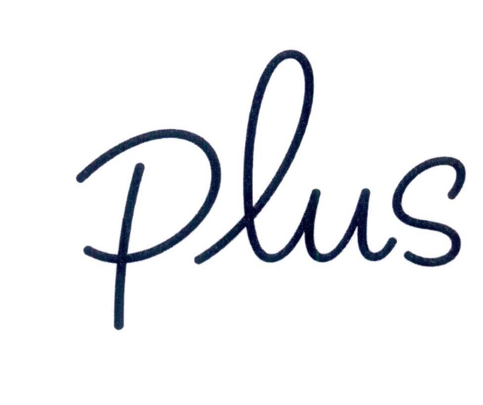 商标文字plus商标注册号 29896695,商标申请人空中食宿