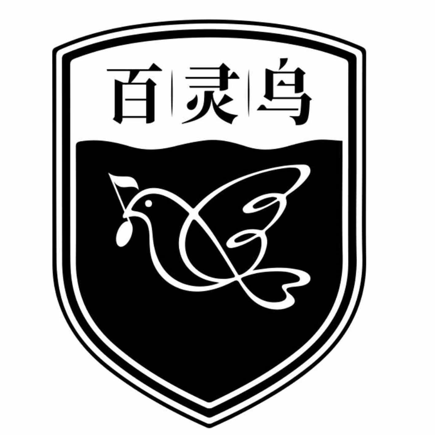 商标文字百灵鸟商标注册号 33584371,商标申请人宁乡市百灵鸟中学的