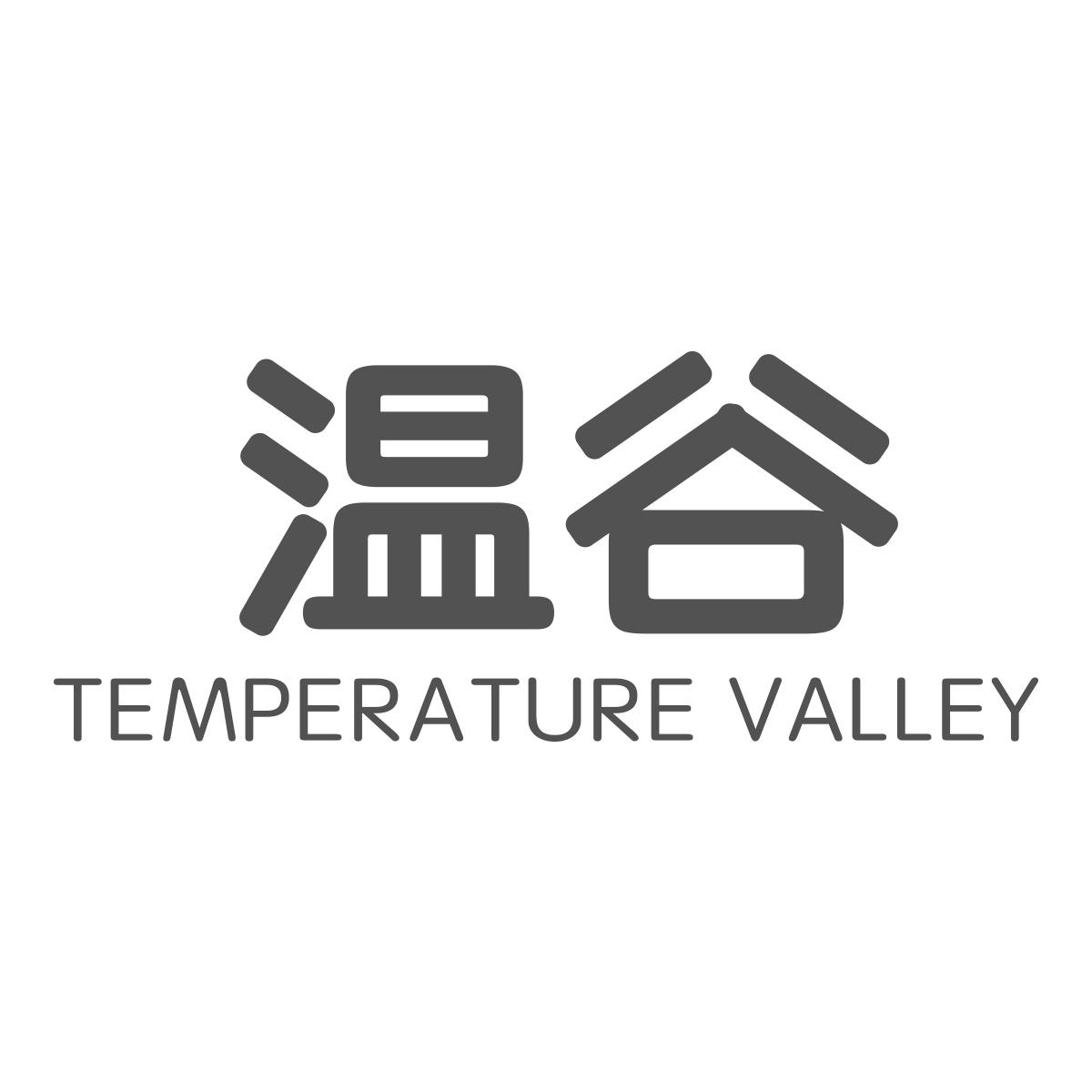 商标文字温谷 temperature valley,商标申请人东阿阿华医疗科技有限