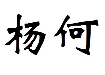 商标文字杨何商标注册号 22100632,商标申请人杨军之的商标详情 - 标