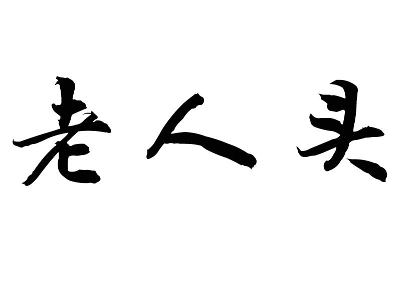 商标文字老人头商标注册号 49142419,商标申请人李新标的商标详情