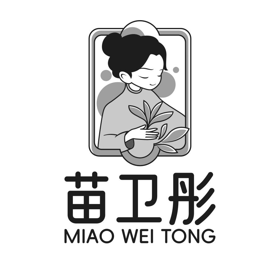 转让商标-苗卫彤