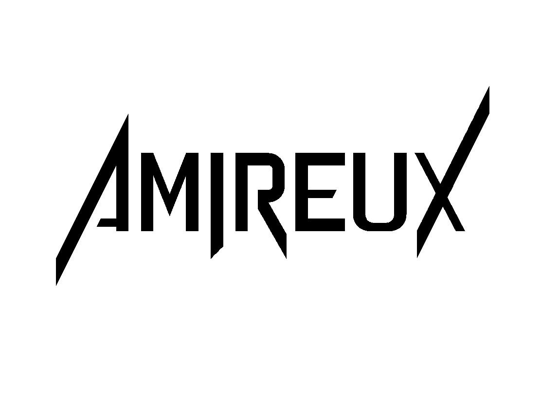 商标文字amireux商标注册号 51402215,商标申请人张淑冰的商标详情