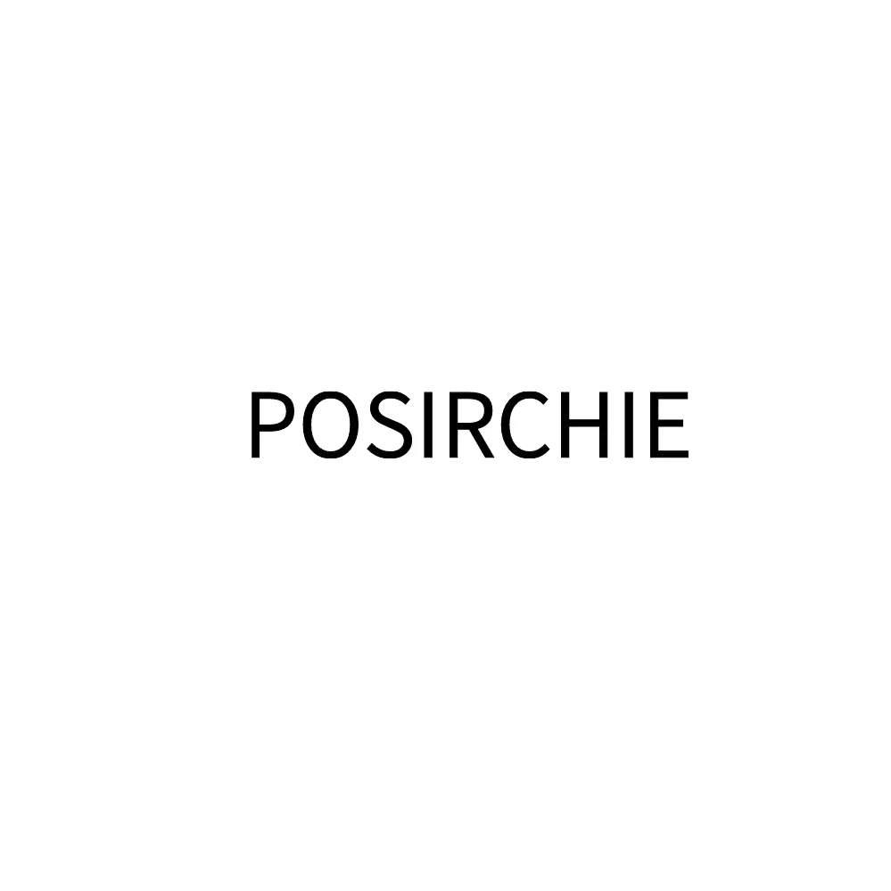 转让商标-POSIRCHIE