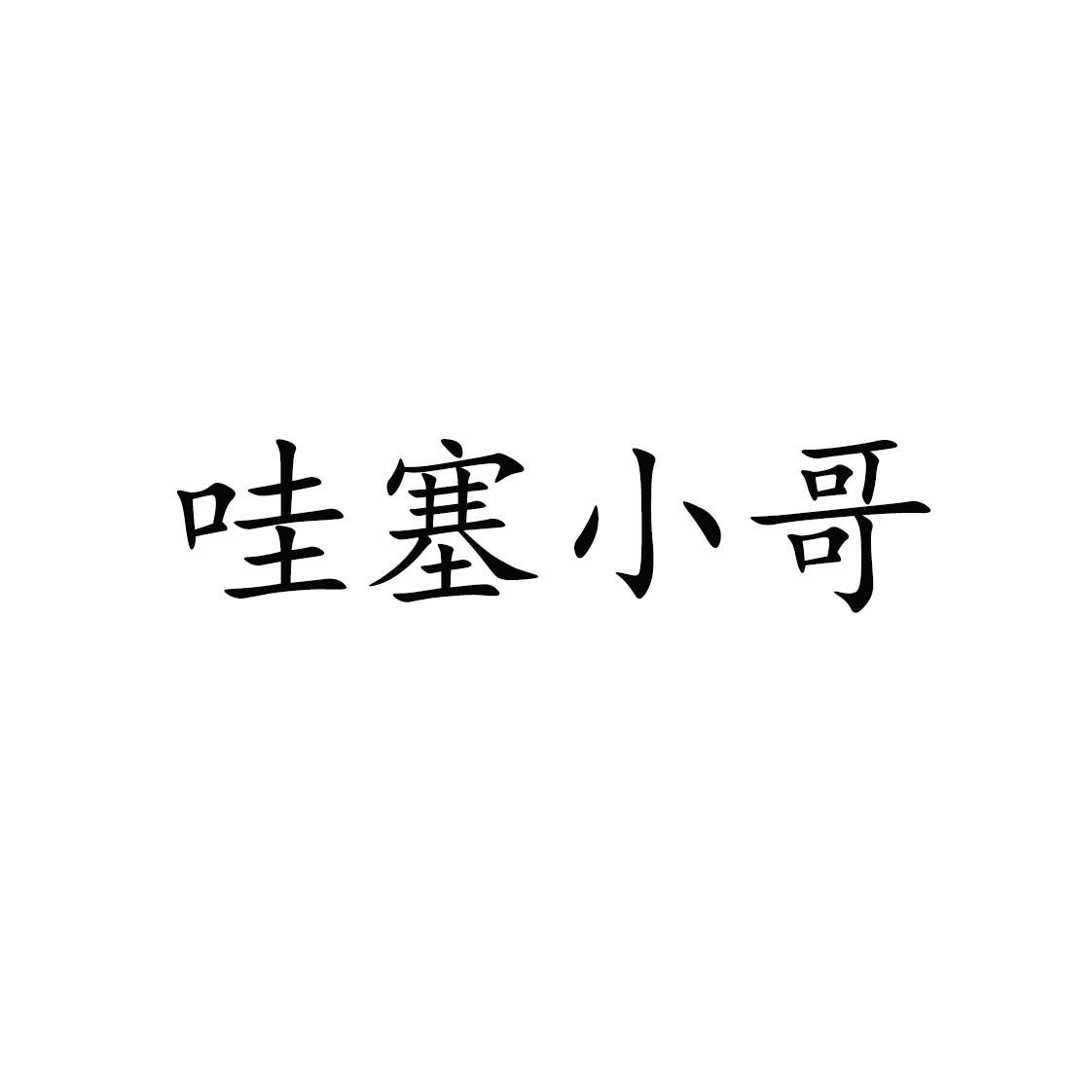商标文字哇塞小哥商标注册号 59705574,商标申请人内蒙古哇塞管家家政