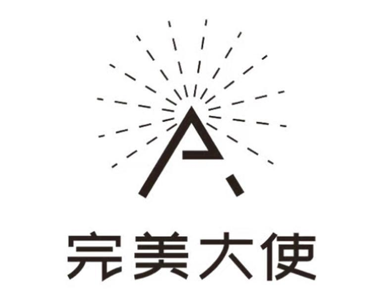 完美大使logo图片