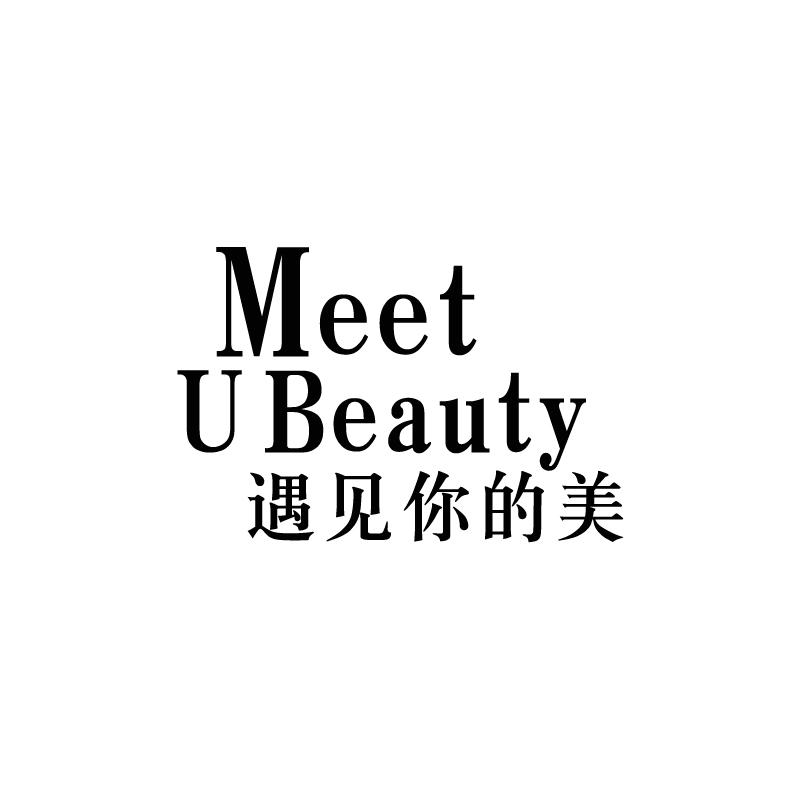 商标文字遇见你的美 meet u beauty商标注册号 39430078,商标申请人