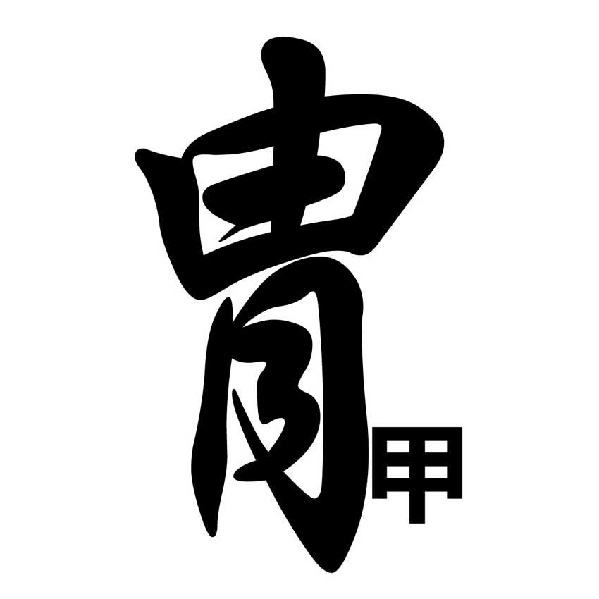 片甲字体复制图片