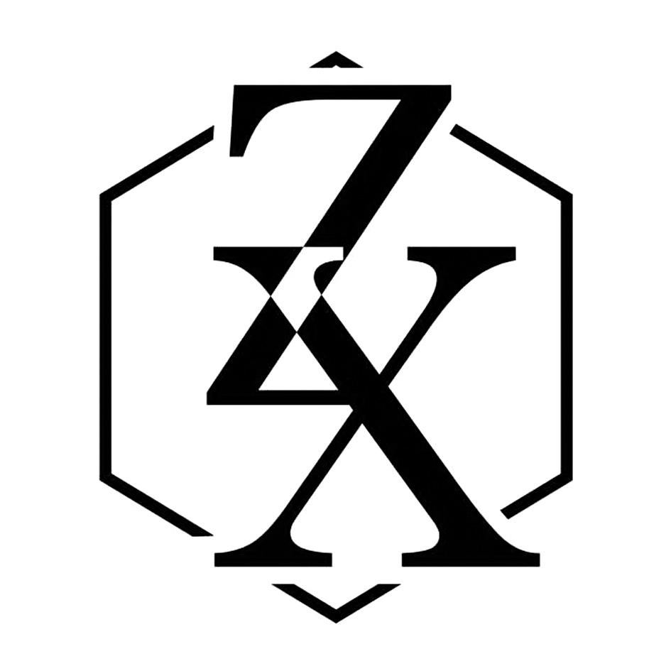 商标文字zx商标注册号 41193623,商标申请人上海淘美电子商务有限公司