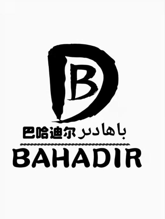 商标文字b d 巴哈迪尔 bahadir商标注册号 60608542,商标申请人新疆