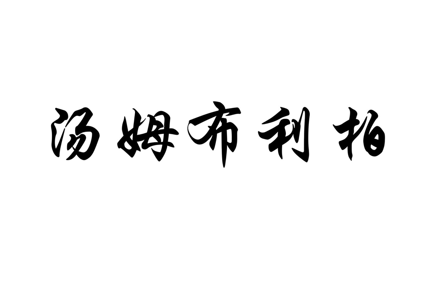 汤姆布利柏名字图片