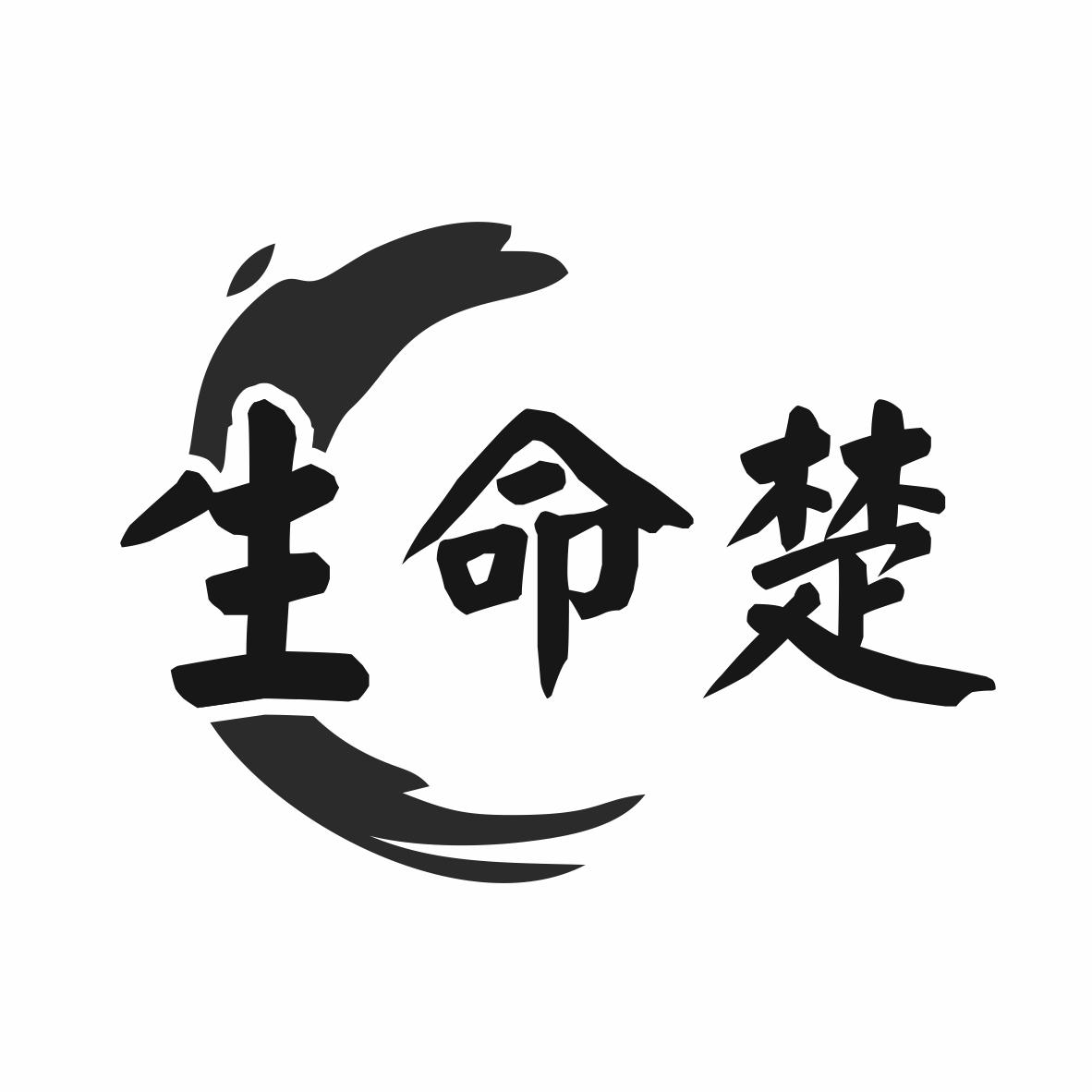 转让商标-生命楚